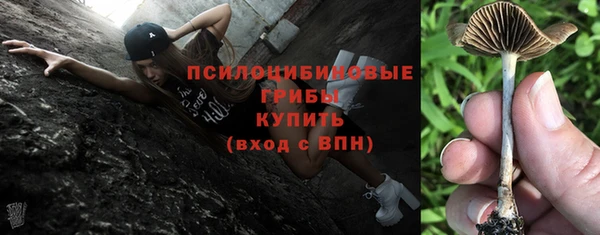 гидропоника Арсеньев