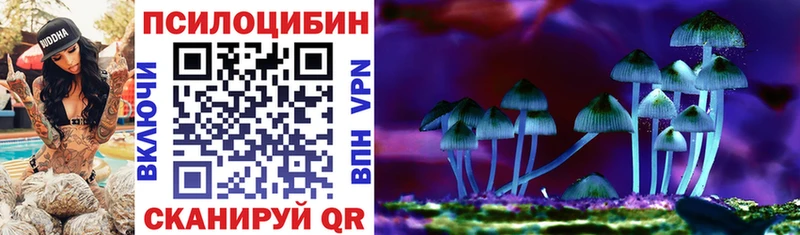 Псилоцибиновые грибы Psilocybine cubensis  Белогорск 